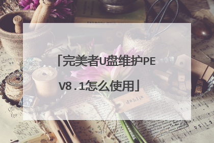 完美者U盘维护PEV8.1怎么使用