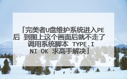 完美者U盘维护系统进入PE后 到图上这个画面后就不走了 调用系统脚本 TYPE.INI OK 求高手解决