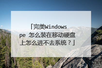 完美Windows pe 怎么装在移动硬盘上怎么进不去系统?
