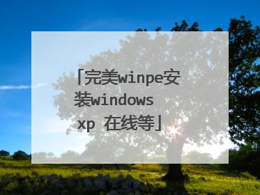 完美winpe安装windows xp 在线等