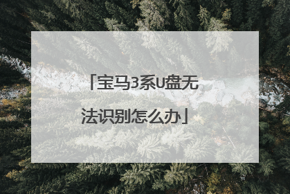 宝马3系U盘无法识别怎么办