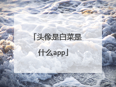 头像是白菜是什么app