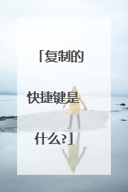 复制的快捷键是什么?