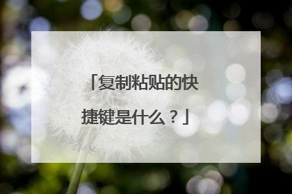 复制粘贴的快捷键是什么？
