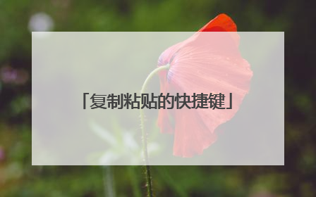 复制粘贴的快捷键