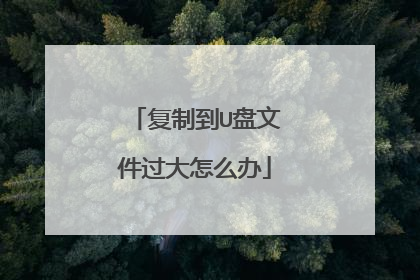 复制到U盘文件过大怎么办