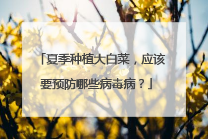 夏季种植大白菜,应该要预防哪些病毒病?