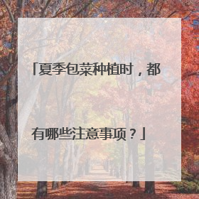 夏季包菜种植时，都有哪些注意事项？