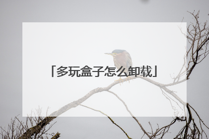 多玩盒子怎么卸载