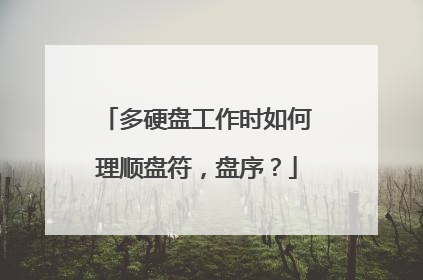 多硬盘工作时如何理顺盘符,盘序?