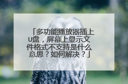 多功能播放器插上U盘,屏幕上显示文件格式不支持是什么意思?如何解决?