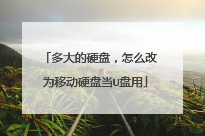 多大的硬盘,怎么改为移动硬盘当U盘用