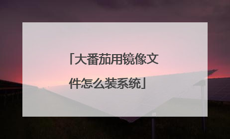 大番茄用镜像文件怎么装系统