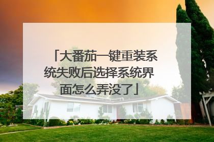 大番茄一键重装系统失败后选择系统界面怎么弄没了