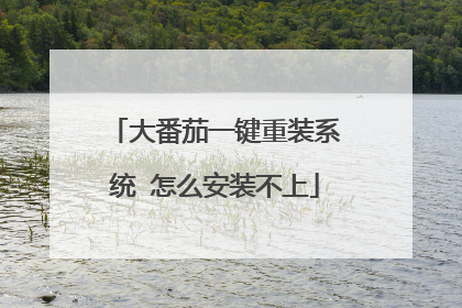 大番茄一键重装系统 怎么安装不上