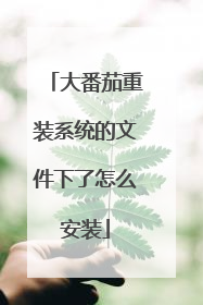 大番茄重装系统的文件下了怎么安装