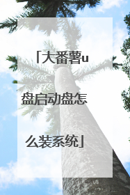 大番薯u盘启动盘怎么装系统