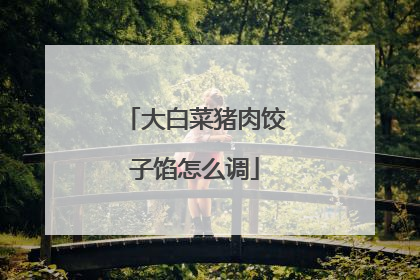 大白菜猪肉饺子馅怎么调