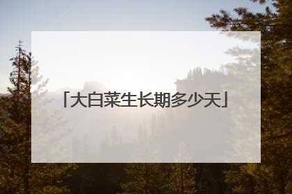 大白菜生长期多少天