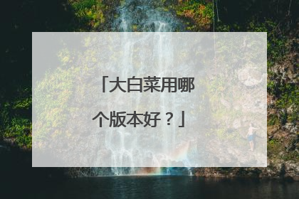 大白菜用哪个版本好?