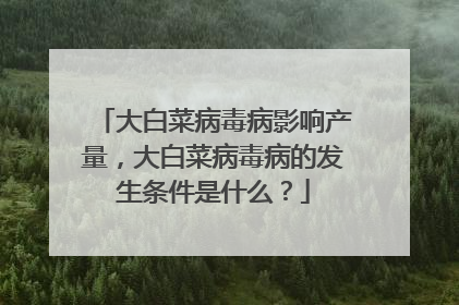 大白菜病毒病影响产量,大白菜病毒病的发生条件是什么?