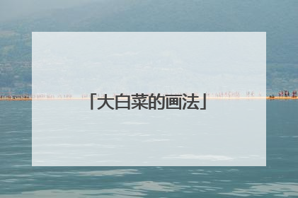 大白菜的画法