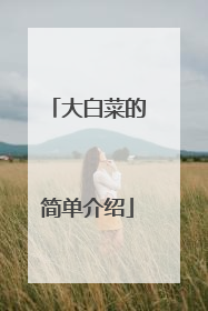 大白菜的简单介绍