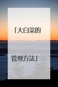 大白菜的管理方法