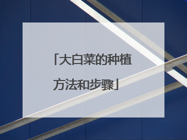 大白菜的种植方法和步骤