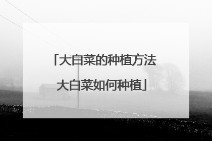 大白菜的种植方法 大白菜如何种植