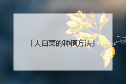 大白菜的种植方法