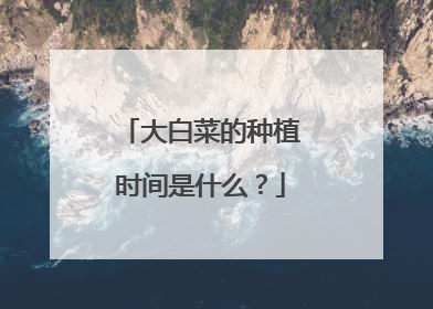 大白菜的种植时间是什么?