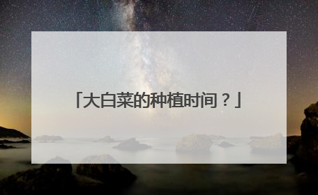 大白菜的种植时间?