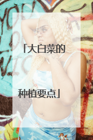 大白菜的种植要点