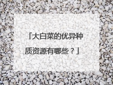 大白菜的优异种质资源有哪些？