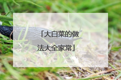 大白菜的做法大全家常