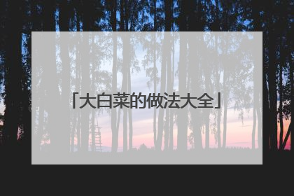 大白菜的做法大全
