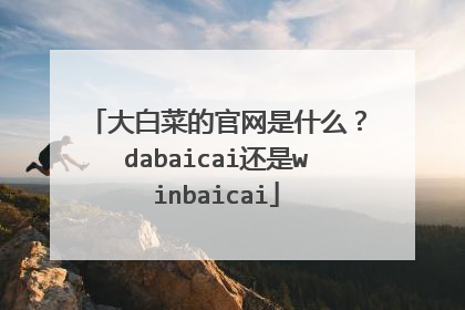 大白菜的官网是什么？dabaicai还是winbaicai