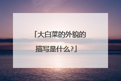 大白菜的外貌的描写是什么?