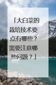 大白菜的栽培技术要点有哪些?需要注意哪些问题?