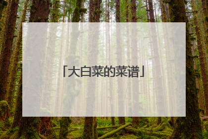 大白菜的菜谱