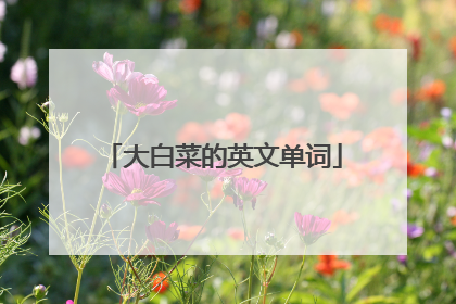 大白菜的英文单词