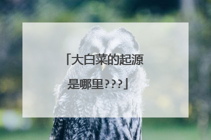 大白菜的起源是哪里???