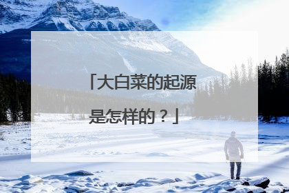大白菜的起源是怎样的?