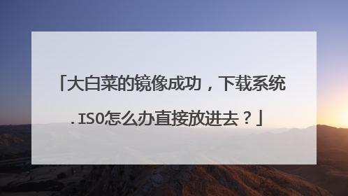 大白菜的镜像成功,下载系统.ISO怎么办直接放进去?