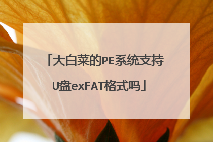大白菜的PE系统支持U盘exFAT格式吗
