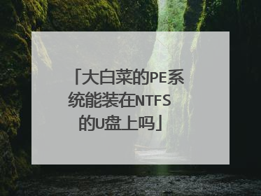 大白菜的PE系统能装在NTFS的U盘上吗