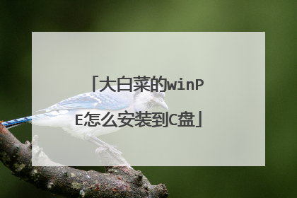 大白菜的winPE怎么安装到C盘