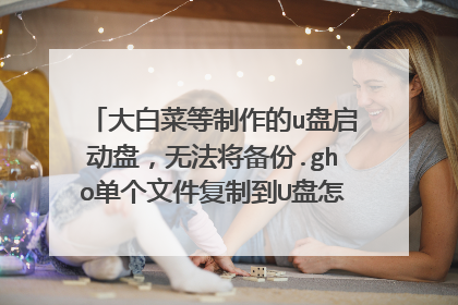 大白菜等制作的u盘启动盘,无法将备份.gho单个文件复制到U盘怎么解决?(因备份的.gho文件超过了4G)