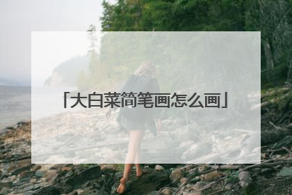 大白菜简笔画怎么画